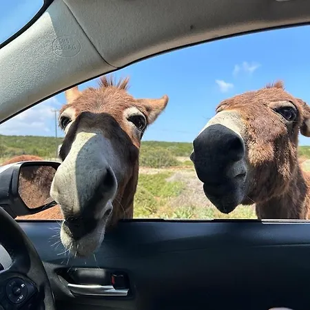 Βίλα Med Privat Saltvannsbasseng Pa Dejablue Kalogrea